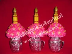 ต้นเทียนเหยือกน้ำลายไทย