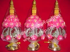 ต้นเทียนโคมไฟ