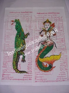 ธงจรเข้-มัจฉา มียันต์