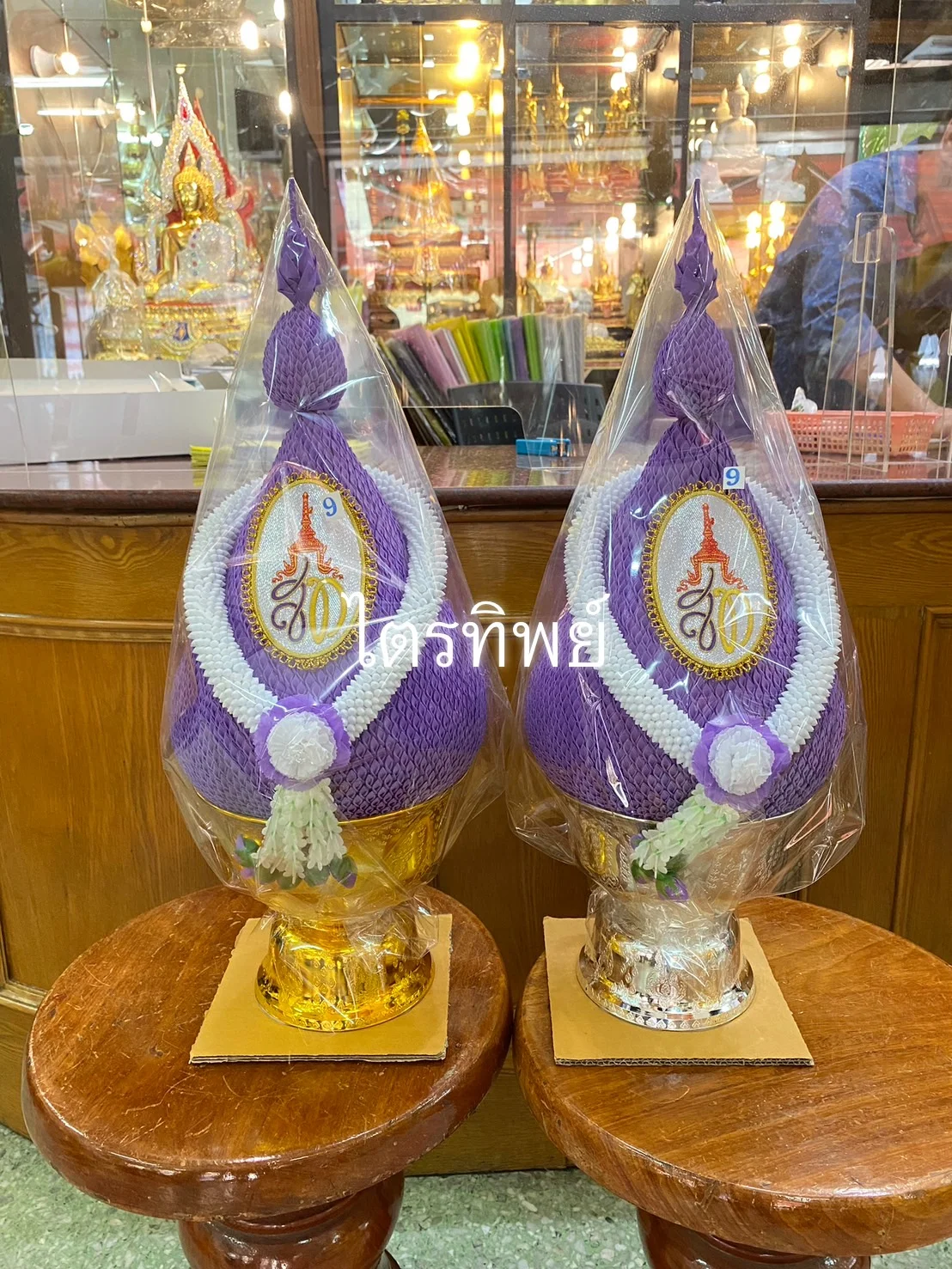 พุ่มผ้าม่วง สท. คล้องมาลัย