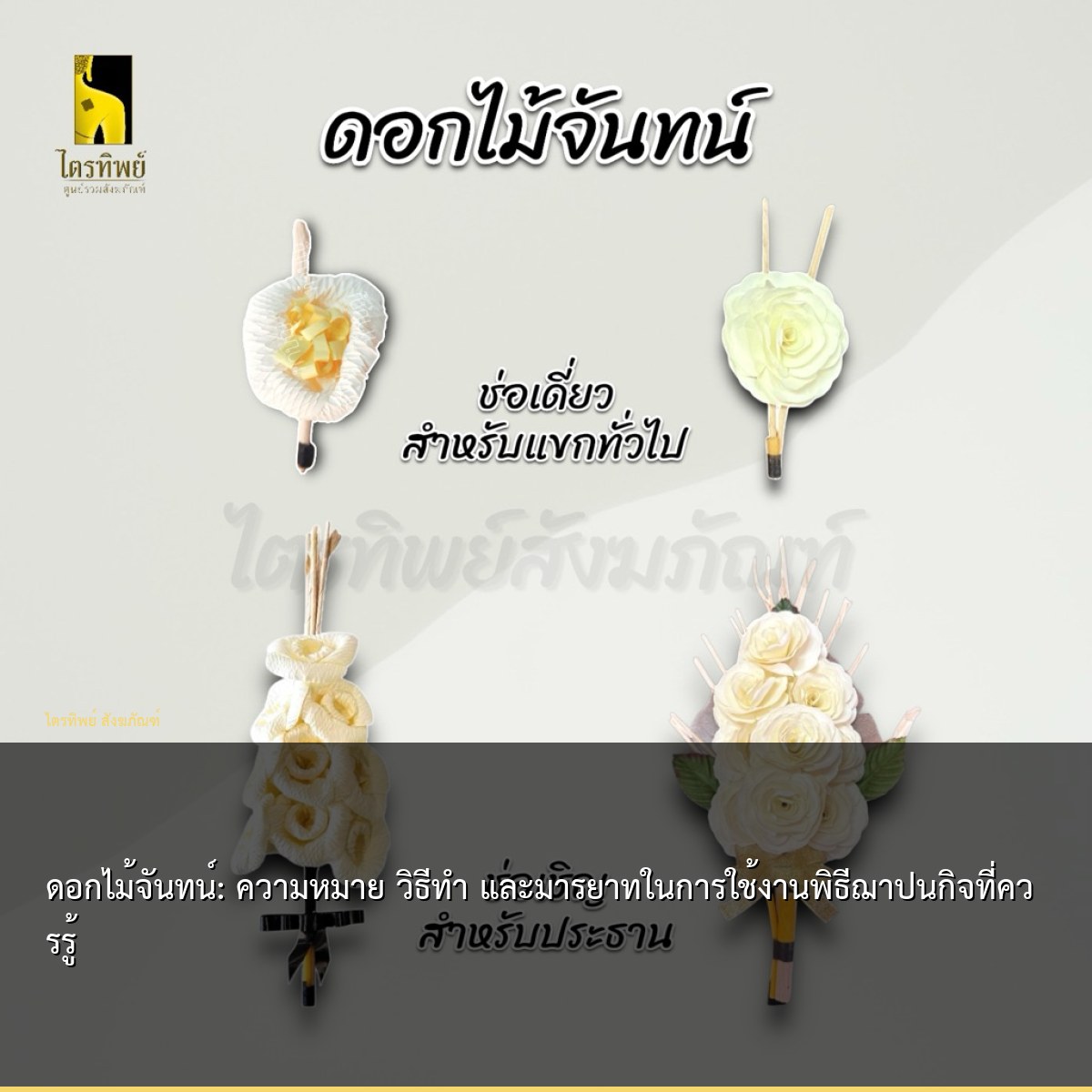 ดอกไม้จันทน์: ความหมาย วิธีทำ และมารยาทในการใช้งานพิธีฌาปนกิจที่ควรรู้