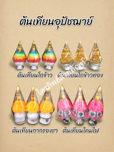 ต้นเทียนอุปัชฌาย์1