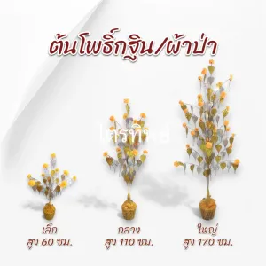 ต้นโพธิ์เสียบแบงค์