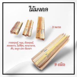 ไม้มงคล 9 ชนิด ขนาด 6" 8" 12" เสริมสิริมงคล เสริมฤกษ์