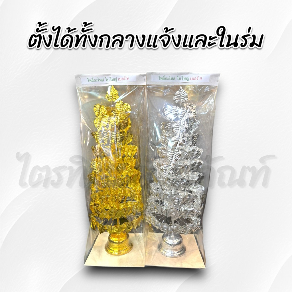 ต้นโพธิ์กะไหล่ ต้นโพธิ์เงิน-ทอง สำหรับบูชา ตั้งศาล 2