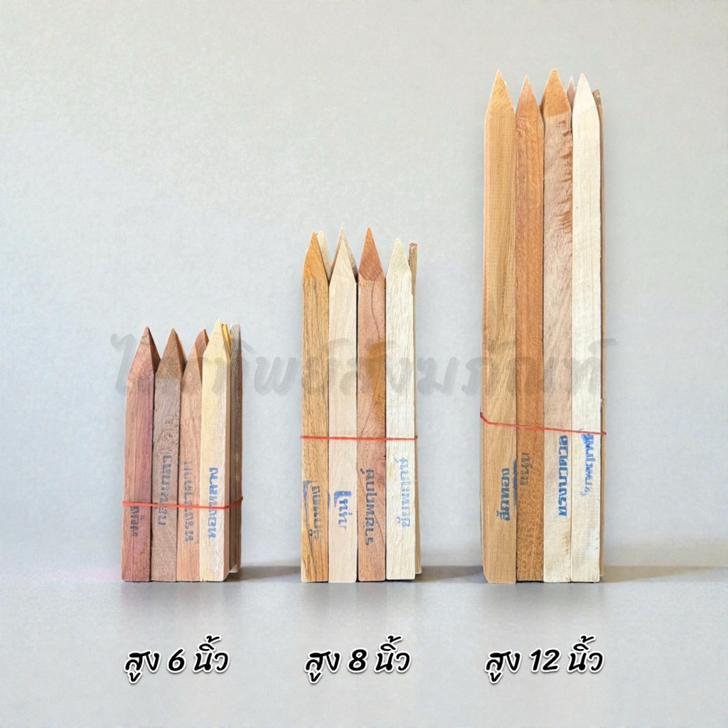 ไม้มงคล 9 ชนิด ขนาด 6" 8" 12" เสริมสิริมงคล เสริมฤกษ์ 2