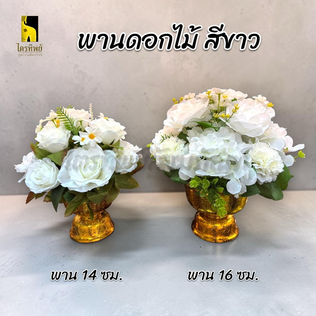 พานดอกไม้สีขาว 14 ซม. 16 ซม. พานสีทอง ดอกไม้สีขาว 1