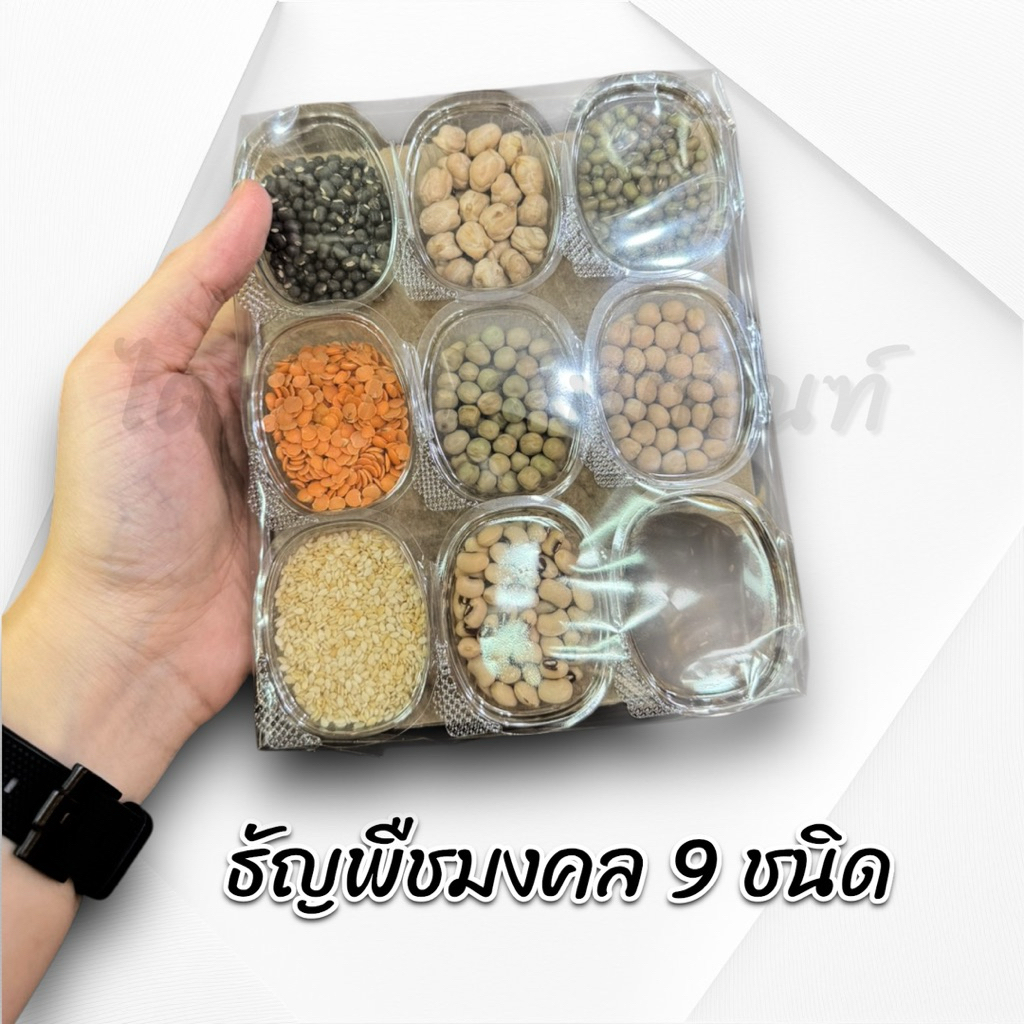 ธัญพืชมงคล 9 ชนิด เสริมสิริมงคล 2