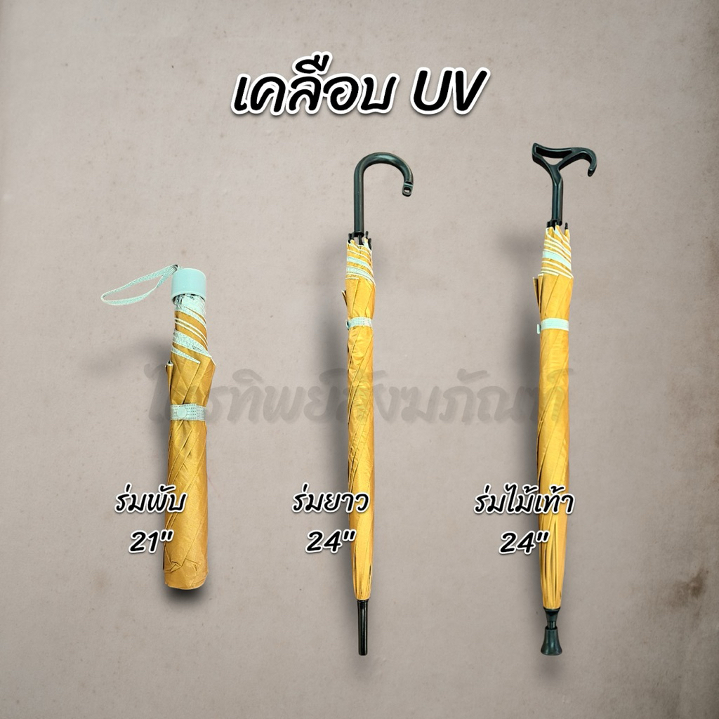 ร่มพระ ร่มสั้น ร่มยาว ร่มไม้เท้า เคลือบ UV สีพระราช 2